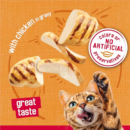 Purina Friskies  Filets With Chicken in Wet Cat Food Gravy - (Pack of 24) 5.5 oz. Cans