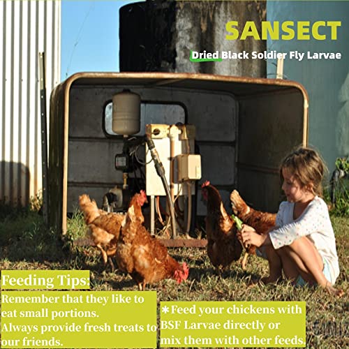 SANSECT Dried Black Soldier Fly Larvae 10LB, High Calcium Chicken Feed – 85X More Calcium, Non-GMO Treats for Chickens, Laying Hens, Ducks, Turkeys
