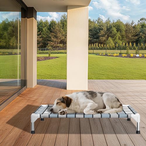 Caghash Elevated Outdoor Raised Dog Bed Outdoor Dogs Bed Lifted Pet Bed Dog Cot for Medium Pet Taste Life, Start with A Pet Bed 34'' x 26'' x 6.5''