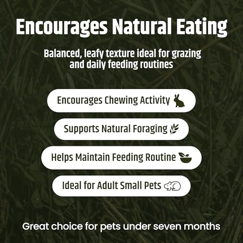 High Desert 2nd Cutting Timothy Hay for Rabbits, Guinea Pigs, Chinchillas and Small Pets, Soft Leafy for Daily Feeding and Digestive Health, Natural