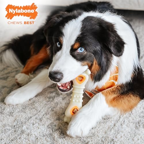Nylabone Pop-in Treat-Toy Refill Chews, All-Natural Dog Treats for Treat Dispensing Toys, Chicken Flavor, 90 Count