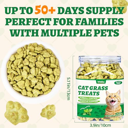 Wellix 13.05oz Cat Grass Treats with Catnip & Salmon - Healthy Cat Treats for Indoor Cats - Hairball Control & Digestive Support - Kittens Training