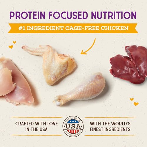 Stella & Chewy's Raw Coated Cat Food - High Protein, Grain-Free Kibble with Cage-Free Chicken - Premium Digestive Support with Probiotics - Natural