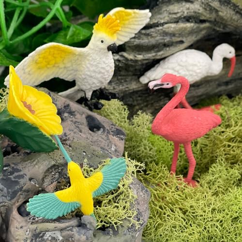 Safari Ltd. Exotic Birds TOOB - 10 Figurines: Parakeet, Quetzal, Macaw, Hummingbird, Toucan, Cockatoo, Flamingo, Snowy Owl, Parrot - Educational Toy