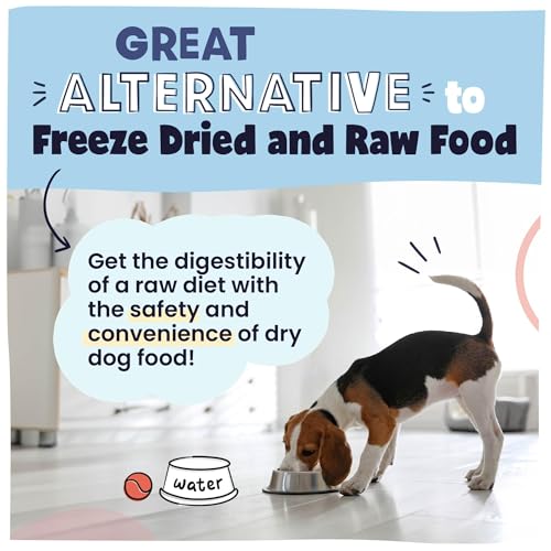 Pawstruck Air Dried Dog Food with Real Beef, Grain-Free, Made in USA, Non-GMO & Vet Recommended, High Protein Limited Ingredient Full-Feed for All