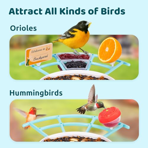 NETVUE by Birdfy Pro Perch - Wider Extension Perch to DIY Add-ons Including Suet Ball, Mini Hummingbird Feeder, Fruit Holder, Jelly Feeder and