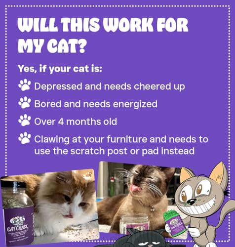 Cat Crack Catnip, Zoomie-Inducing Cat Nip Blend, North American Made & 100% Natural, Safe & Non-Addictive Catnip Treats Used to Supplement Cat Nip