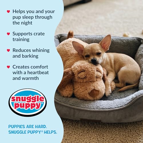 Snuggle Puppy Junior, Heartbeat Puppy Toy for Small Breeds, Smaller Plush Dog Toy with Real-Feel Pulse, Designed for Crate Use and Early Routines