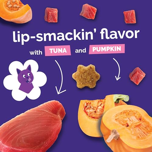 Fruitables Cat Treats - Crunchy Treats for Cats - Healthy Low Calories Packed with Protein - Free of Wheat, Corn and Soy - Made with Real Salmon