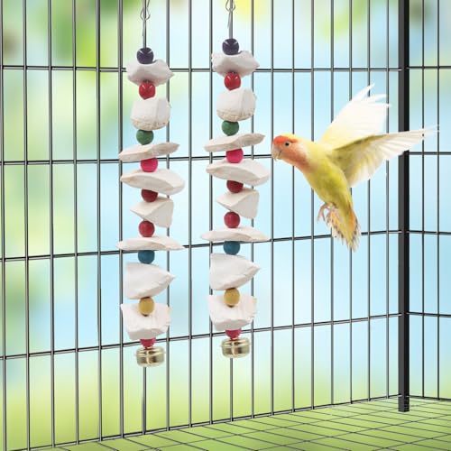 2 Pack Bird Toys with Cuttlebone, Parakeet Toys, Bird Beak Grinding Stone, Cage Accessories for Parakeets, Cuttlefish Bone for Budgies, Cockatiels