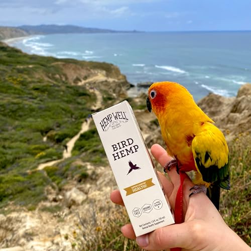 Organic Hemp Well Bird Hemp Oil – 2 Ounces. Parrot, Parakeet, Cockatiel and All Birds for Supporting Health, Feather Plucking, Destructive Behavior