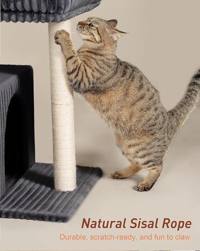 Cat Tree for Large Cat, 20.9 * 15.7in Large Perch Bed for Adult Cats, 22.8in Cat Tower with Scratching Post, Cat Condo with 2-Door for Indoor Cats