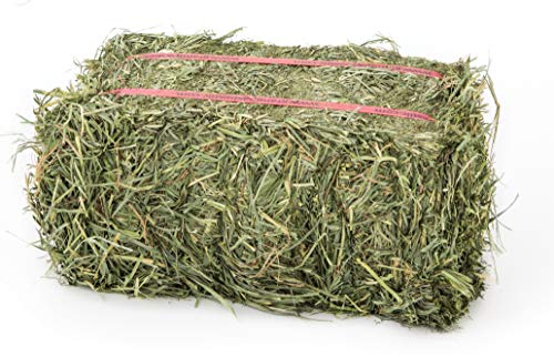 Grandpa's Best Orchard Grass Bale, 5 lbs,green