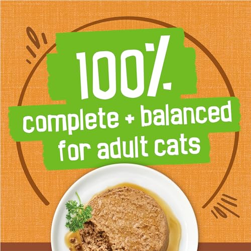 Purina Friskies Gravy Pate, Wet Cat Food Extra Gravy Pate With Chicken in Savory - (Pack of 24) 5.5 oz. Cans