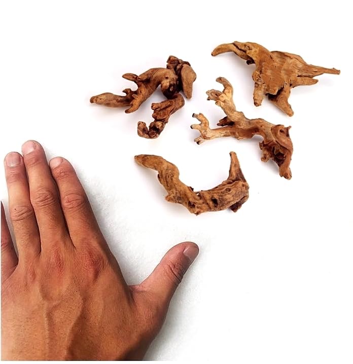 YZHZOM Small Natural Driftwood for Aquarium Styling Carefully Selected Natural Aquarium Decor Driftwood for Reptile Tank Reptile Tank Wood Decor