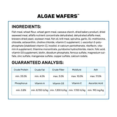 Hikari Algae Wafers for Pets, 2.2-Pound