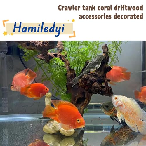 Hamiledyi Aquarium Driftwood 3PCS Natural Trunk Driftwood Assorted Branches 8-12" Reptile Wood Decor Terrarium Ornament Fish Tank Decoration
