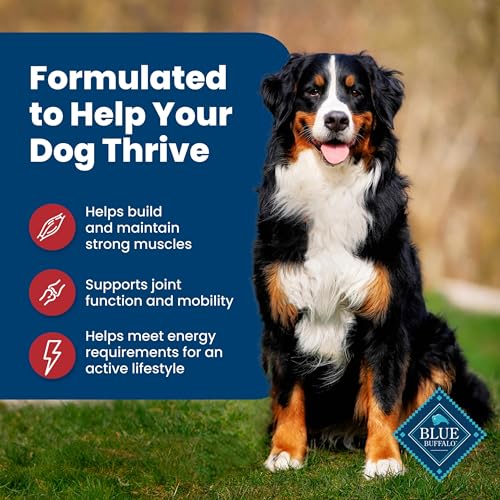 Blue Buffalo Life Protection Formula Adult Dry Dog Food, Helps Build and Maintain Strong Muscles, Made with Natural Ingredients, Beef & Brown Rice