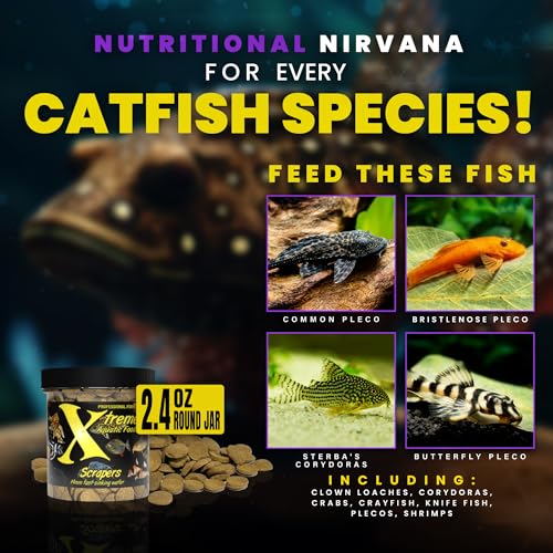 Xtreme Scrapers Wafers - Premium 14mm Fast-Sinking Fish Food – Nutrient & Cellulose Rich Ideal for Nocturnal Feeders, Catfish, Plecostomus Species