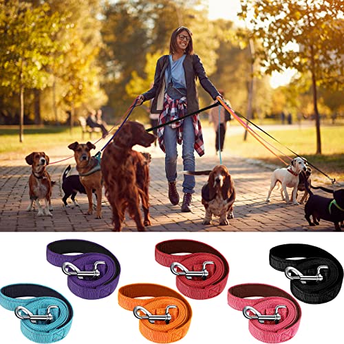 6 Pieces Dog Leash Bulk for Medium and Large Dog, Heavy Duty Nylon Pack Dogs Leashes Padded Handle Double Sided Reflective Puppy Collar for Walking