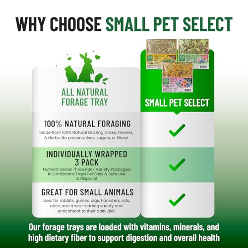 Small Pet Select Forage Tray Bundle, 3 Pack of Foraging Trays for Rabbit, Guinea Pig, Hamster or Bunny - Natural Treats, Dandelion, Flower, Herb Mix