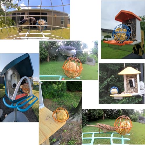 Metal Suet Ball Holder for Bird Buddy, Compatible with BirdBuddy Smart Feeders & Others with Ready 5mm Screw Hole, Durable Accessory & Add-on