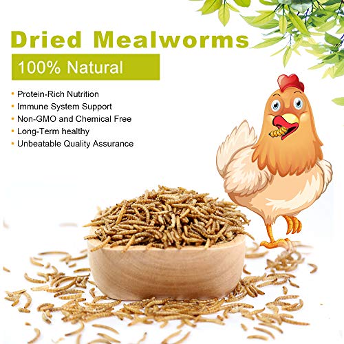 20lbs Mealworms, High-Protein Dried Mealworms for Birds, Chickens, Turtles, Fish, Hamsters and Hedgehogs, Non-GMO and Chemical Free, All Natural