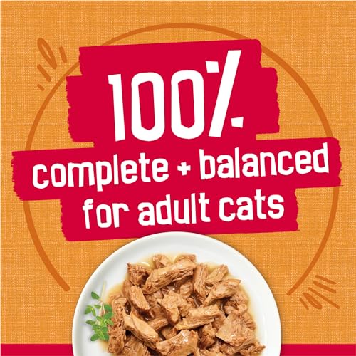 Purina Friskies  Filets With Chicken in Wet Cat Food Gravy - (Pack of 24) 5.5 oz. Cans