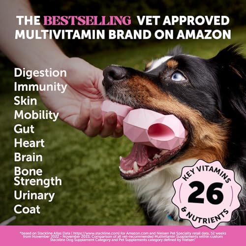10-in-1 Dog Multivitamin Supplement with Glucosamine & Probiotics - Hip & Joint Support, Digestive Health, Immune Support, Heart & Skin - All-in-One