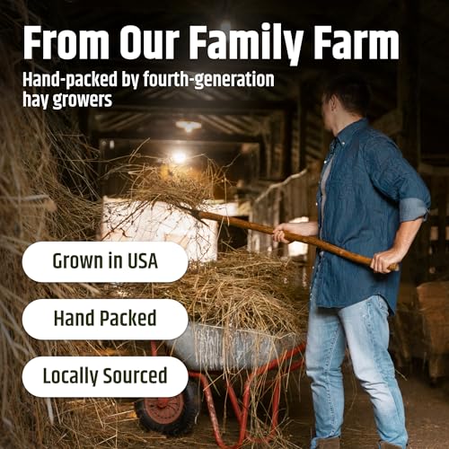 High Desert Alfalfa Hay, Protein Rich Soft Leaf Food for Young Growing Animals, Natural Rabbit Food and Guinea Pig Hay, Supports Digestive Health