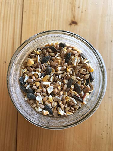 Ernst Grain & Livestock's Bird and Wildlife Feed – Perfect for Birds, Ducks, Squirrels, Turkeys, Rabbits, Geese, and Deer – Non-GMO Wild Animal