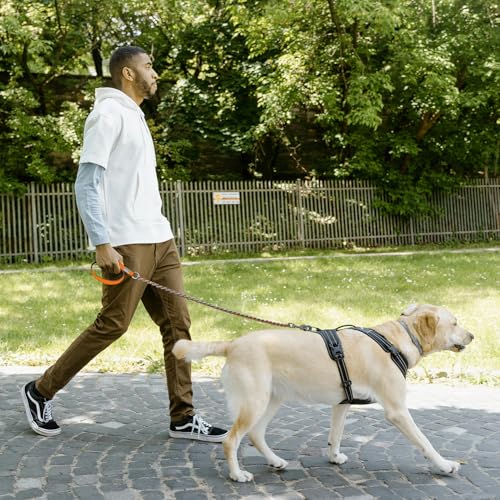 Chain Dog Leash Chew Proof Metal Leash for Medium Large Dogs, Chain Link Dog Anti Chew 5.2FT / 4FT Strong Anti Bite Comfortable Soft Padded Handle
