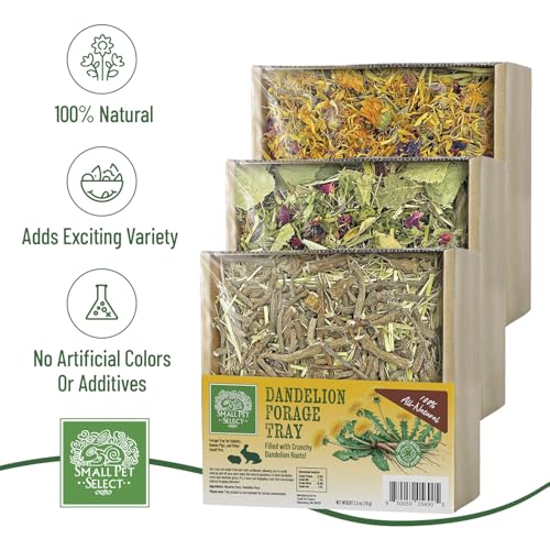 Small Pet Select Forage Tray Bundle, 3 Pack of Foraging Trays for Rabbit, Guinea Pig, Hamster or Bunny - Natural Treats, Dandelion, Flower, Herb Mix