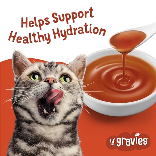 Purina Friskies Lil' Gravies Roasted Chicken Flavor Cat Food Lickable Cat Treats - (Pack of 16) 1.55 oz. Pouches