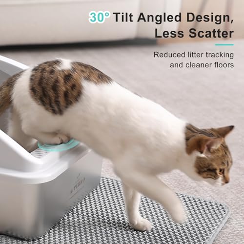 Stainless Steel Litter Box | XL Enclosed Cat Litter Boxes with Lid for Big Cats | High Sided, Anti-Urine Leakage | Non-Stick Bottom & Includes Litter