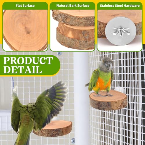 4PCS Natural Wood Round Bird Perch Platform for Cage - Parrot Perch Stand for Conures, Cockatiels, Budgies, Lovebirds, Parrotlets, Small Bird Cage