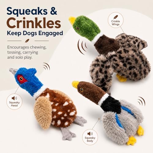 Dog Squeaky Toy Set – 4-Pack Durable Plush Duck, Pheasant, Goose for Small and Medium Dogs – Soft Bird Chew Toys with Crinkle Sound for Puppy Play