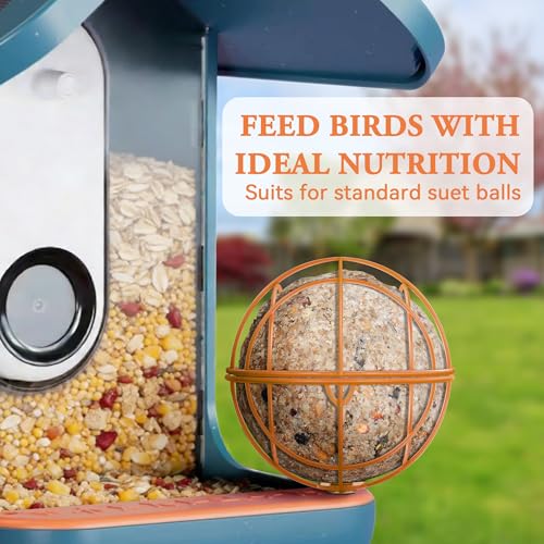 Metal Suet Ball Holder for Bird Buddy, Compatible with BirdBuddy Smart Feeders & Others with Ready 5mm Screw Hole, Durable Accessory & Add-on