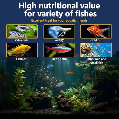 JADINGSFRAM Blood Worms Fish Food 3.5 oz, Freeze Dried Bloodworms for Fish, Bloodworms Fish Food for Freshwater Saltwater Tropical Fish Betta Cichlid