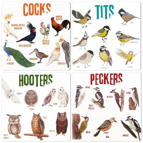 Bird Pun Coasters, Square Funny Coaster Set Coffee Coasters for Bird Lovers Kitchen Decor Housewarming Gifts (4 Pcs)