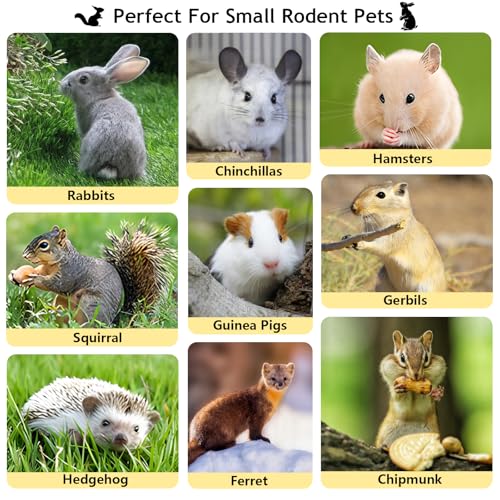 600g Organic Apple Sticks Small Animals Molar Wood Treats Toys for Chinchillas Guinea Pig Rabbits Hamster Gerbil Parrot Bunny Chew Stick Toys, 21.2 OZ