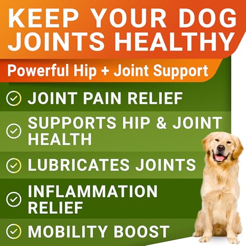 Glucosamine Treats for Dogs - Joint Supplement w/Omega-3 Fish Oil - Chondroitin, MSM - Advanced Mobility Chews - Joint Pain Relief - Hip & Joint Care