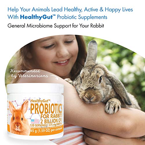 HealthyGut Probiotics for Rabbits Dietary Supplement, All-Natural Digestive System Formula (120 Servings)