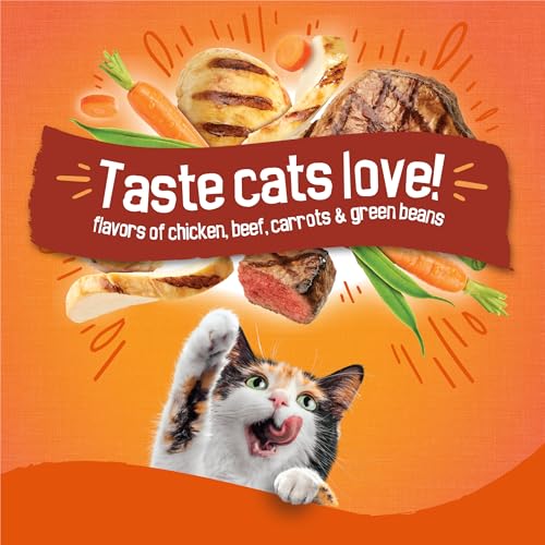 Purina Friskies Tender and Crunchy Combo with Flavors of Chicken, Beef, Carrots and Green Beans Dry and Tender Cat Food - 16 Lb. Bag (Packaging may