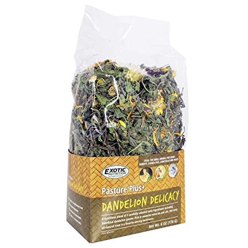 Exotic Nutrition Pasture Plus+ Dandelion Delicacy - Healthy Natural High-Fiber Dried Flower Treat - Guinea Pigs, Rabbits, Chinchillas, Prairie Dogs