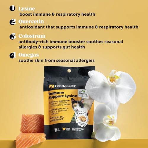Cat Immune Support Lysine – Allergy Relief & Immune Health Supplement for Cats with L-Lysine, Colostrum, Quercetin & Omega-3 – Soothes Sneezing