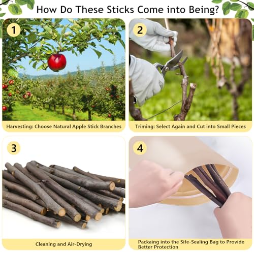 600g Organic Apple Sticks Small Animals Molar Wood Treats Toys for Chinchillas Guinea Pig Rabbits Hamster Gerbil Parrot Bunny Chew Stick Toys, 21.2 OZ
