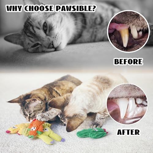 Pawsible Cat Toys for Indoor Cats, 100% Pure Organic Catnip-Filled Toys Without Cotton, Interactive Cactus Kitten Toy for Anxiety Relief, Soft Cute