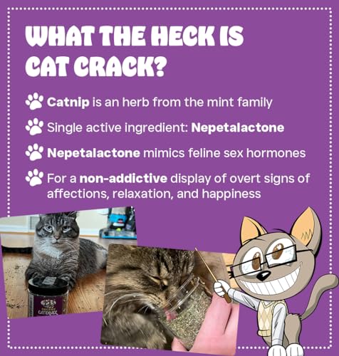 Cat Crack Catnip, Zoomie-Inducing Cat Nip Blend, North American Made & 100% Natural, Safe & Non-Addictive Catnip Treats Used to Supplement Cat Nip