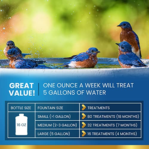 ADIOS! Bird Bath Cleaner for Outdoor Fountains and Bowls, Safely Cleans Metal, Glass and Stone (8oz)